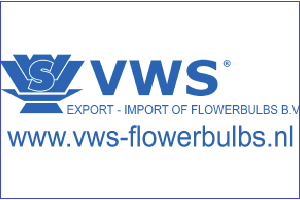 Hồ sơ công ty cung cấp củ giống hoa ly ở Hà Lan (P1)